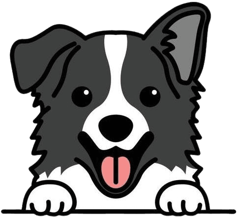 Cute border collie dog cartoon